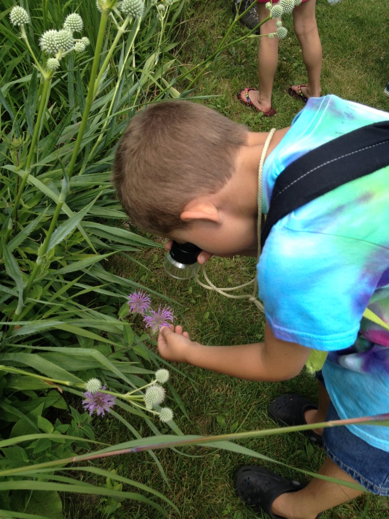 Jayden uses a magnifier to get a better look at some prairie bugs.
